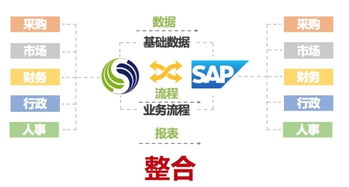 SAP與致遠互聯強強聯手，以技術融合驅動全球企業組織管理升級