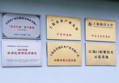 青浦區(qū)水產(chǎn)站積極推進全國水產(chǎn)綠色健康養(yǎng)殖技術(shù)推廣“五大行動”骨干基地認(rèn)定工作